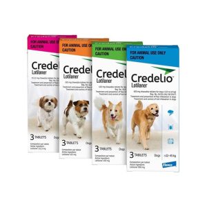 Credelio for dogs flea and tick