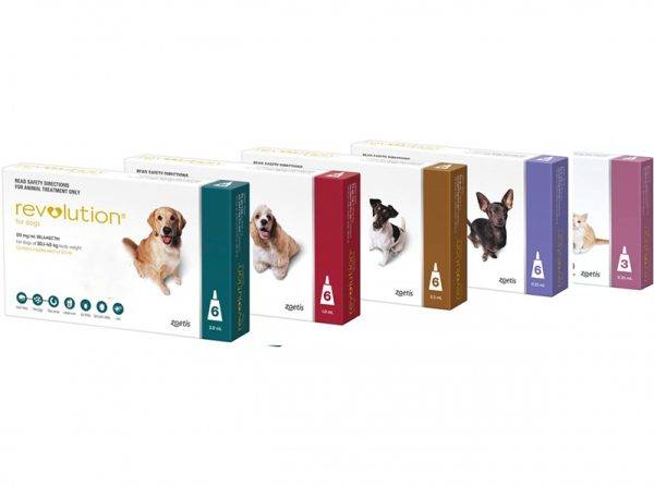 Revolution for Dogs anipetshop