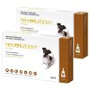 Revolution_for_Dogs_Brown_12_Pack_with_Bonus_Canex_Multi_Spectrum_All_Worming_Tablets-600x600