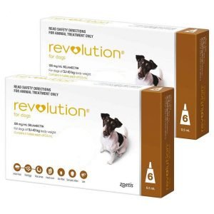 Canex multi spectrum all wormer for medium dogs clearance