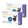 Revolution_for_Dogs_Purple_12_Pack_with_Bonus_Canex_Multi_Spectrum_All_Worming