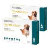 Revolution_for_Dogs_Teal_12_Pack_with_Bonus_Canex_Multi_Spectrum_All_Worming_Tablets-600x600