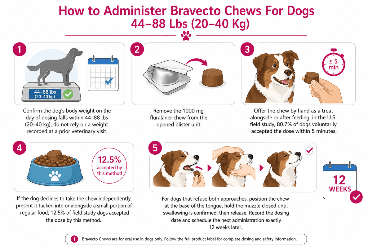 how to administer bravecto chews for dogs 44-88 lbs