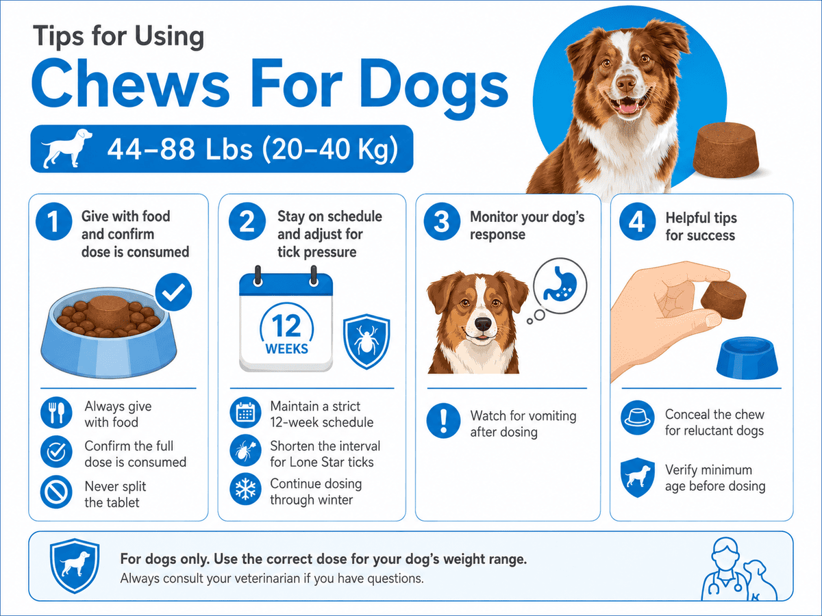 usage tips for bravecto chews for dogs 44-88 lbs
