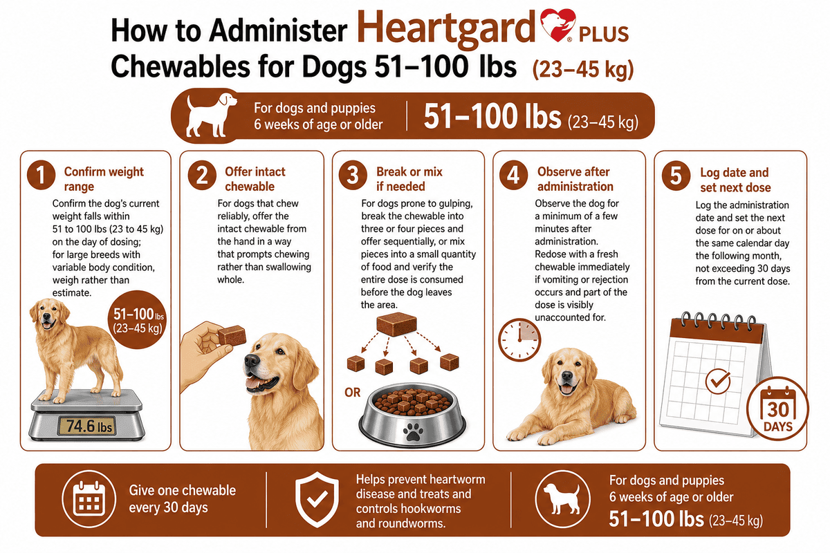 how to administer heartgard plus chewables for dogs 51-100 lbs