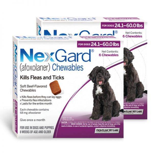 nexgard_for_dog_24_1_60