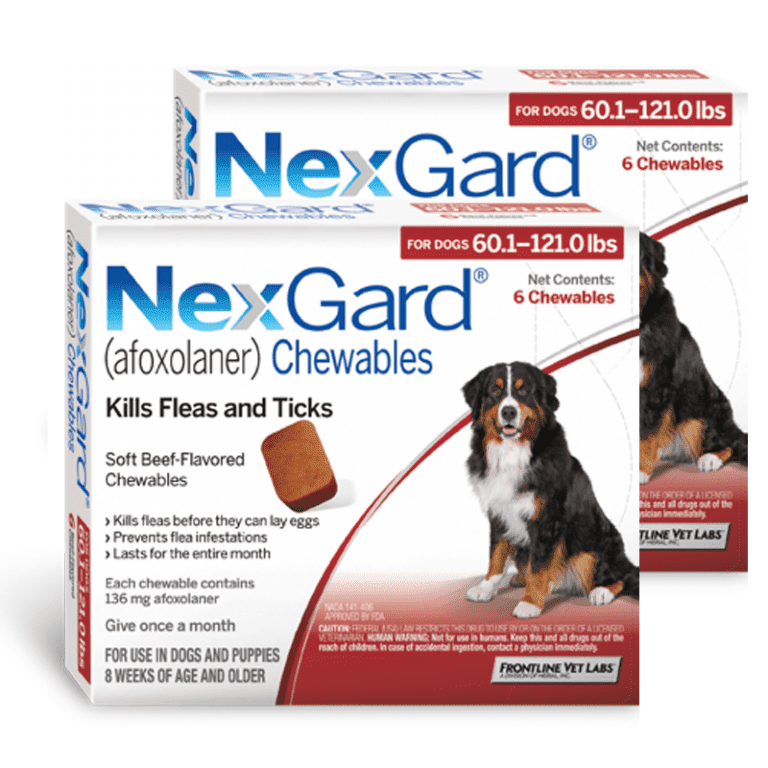 nexgard-for-puppies-age-inforekomendasi