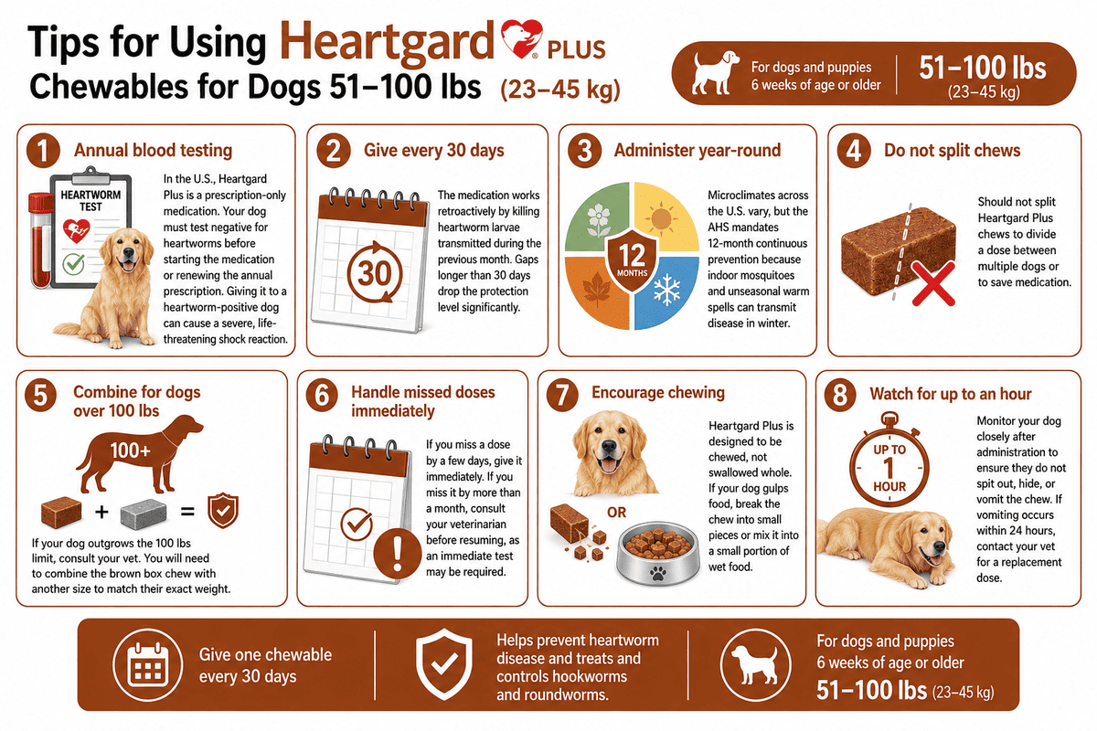tips for using heartgard plus chewables for dogs 51-100 lbs