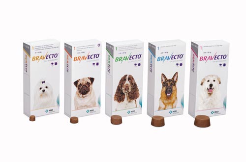 Bravecto for 2025 dogs non prescription