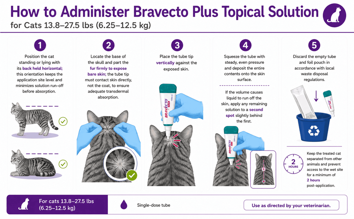 bravecto plus topical solution for cats 13.8-27.5 lbs application steps