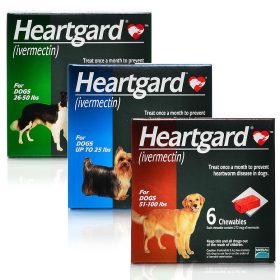 buy-heartgard-online-anipetshop