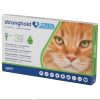 Stronghold_Plus_for_Large_Cats_11-24lbs