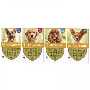 Advocate for Dogs anipetshop