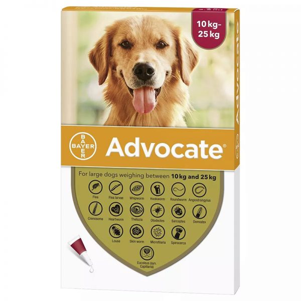 Advocate_for_Large_Dogs_-_Red_3_Pack