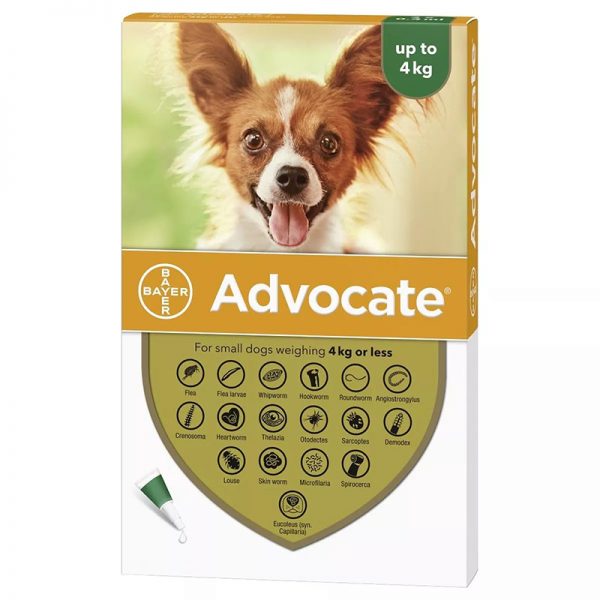 Advocate_for_Small_Dogs_-_Green_3_Pack