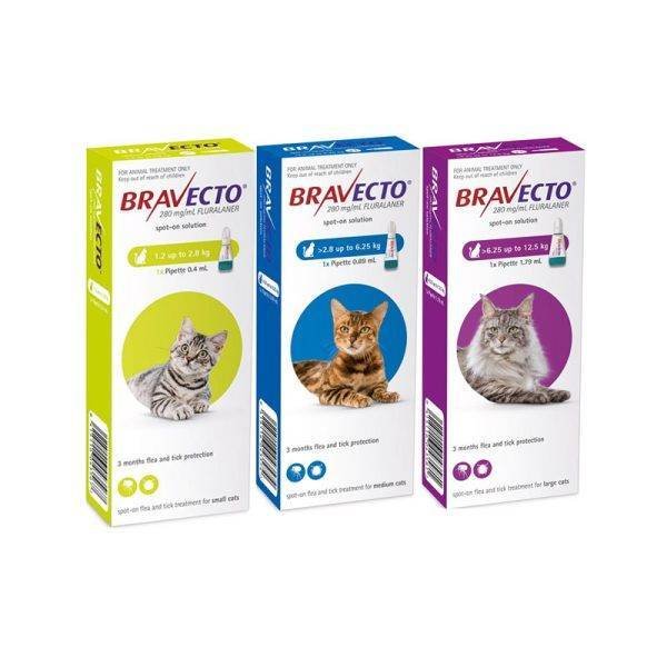 Where Can I Get Bravecto Without a Vet Prescription?