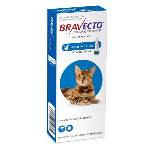 Bravecto for Medium Cats Blue 1 Dose
