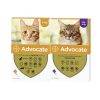 Advocate for cats anipetshop
