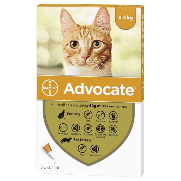 Advocate for cats under 4kg