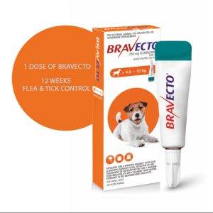 BRAVECTO spot on FOR DOGS 12 WEEKS