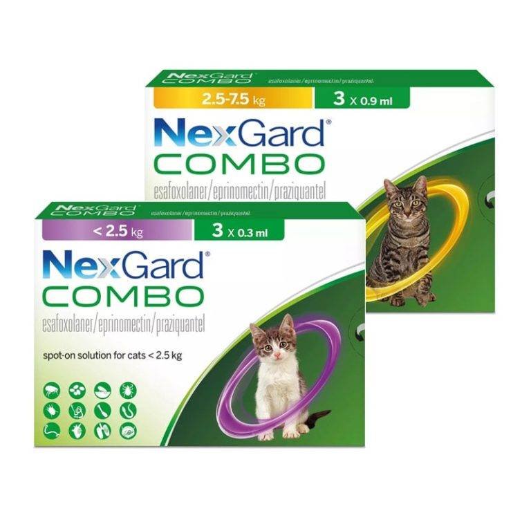 Pet Medications Pet Meds Without Vet Prescription