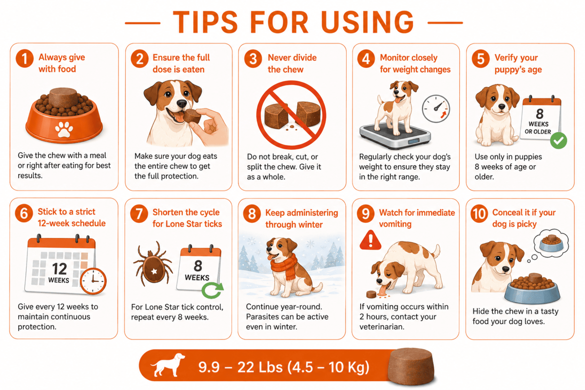 tips for using bravecto chews for dogs 9.9–22 lbs