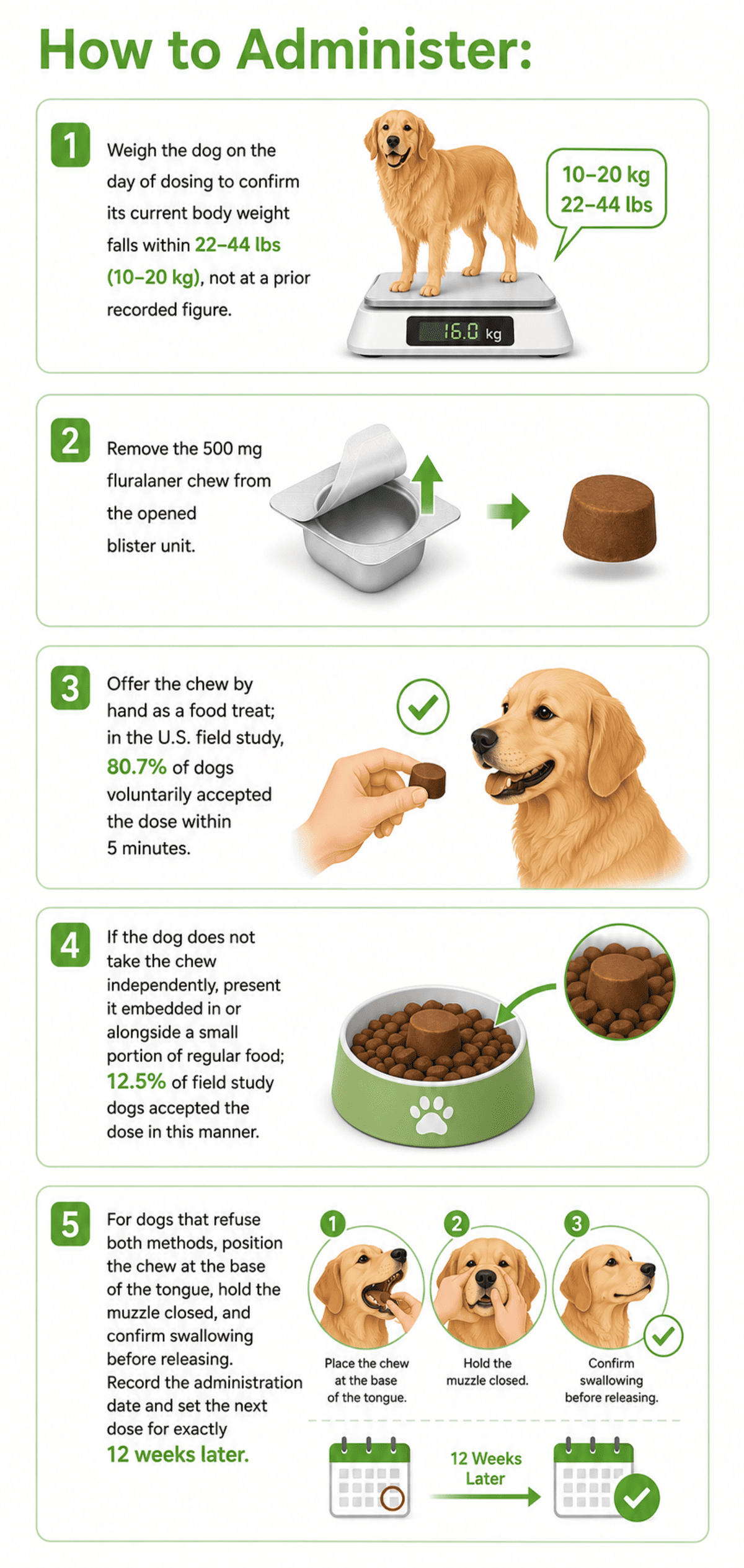 how to give bravecto chews 500 mg to a 22 - 44 lb (10–20 kg) dog