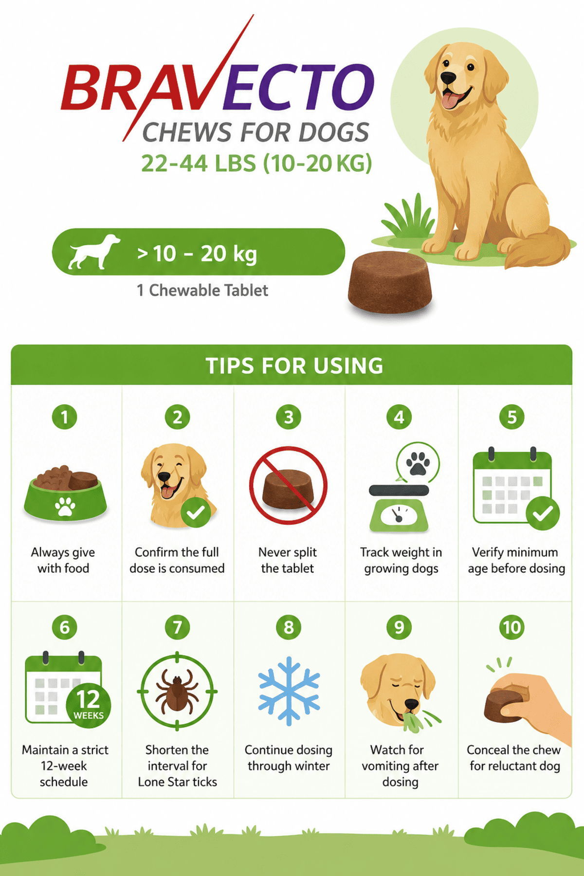 bravecto chews for dogs 22 - 44 lbs (10 - 20 kg) with usage tips