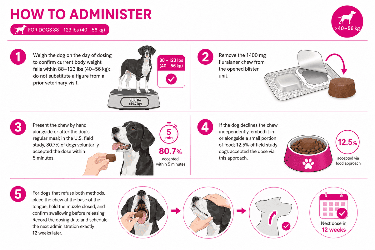 how to administer bravecto chews for dogs 88-123 lbs