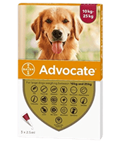 Advocate for dog logO