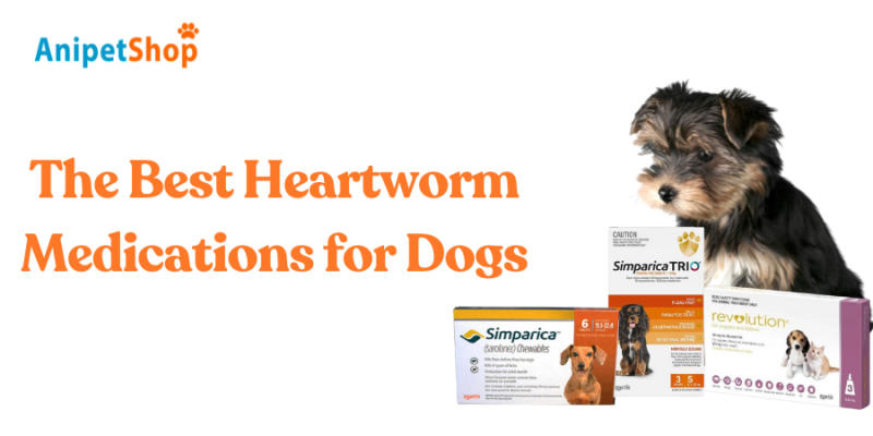 The Best Heartworm Medications for Dogs