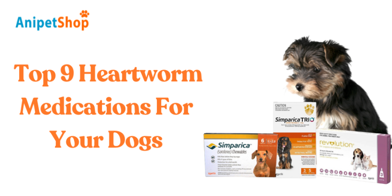 Top 9 Heartworm Medications For Your Dogs