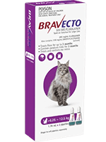Bravecto for cat category flea and tick