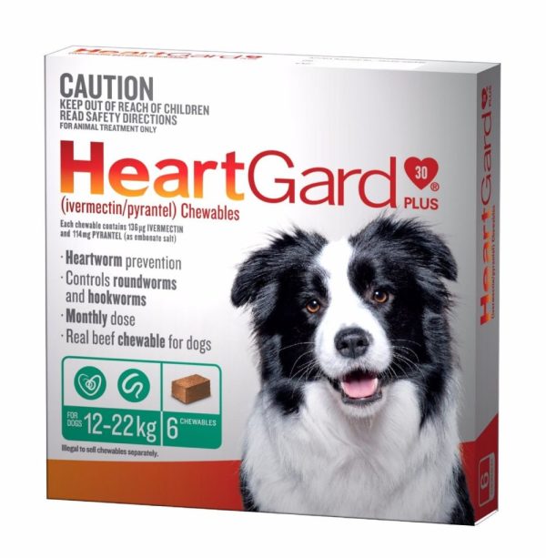 Heartgard Plus Chewables for Dogs 12-22 kg Australia