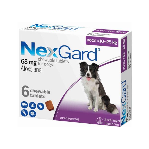 NexGard Flea and Tick Prevention Chewable Tablets for Dogs 24.1-60 lbs (10.1-25 kg) -6 chews