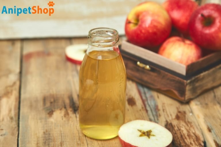 A closer look at Natural Apple Cider Vinegar For Flea Control