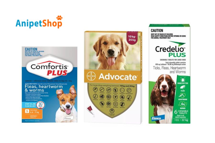 buy-chewable-heartworm-medicines-at-anipet-shop