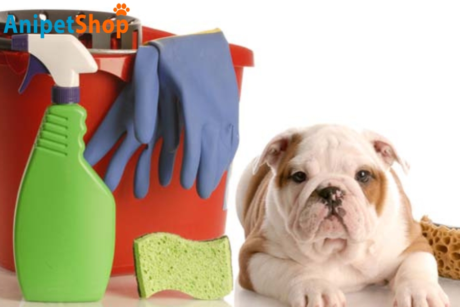 Image about cleaning for flea-free