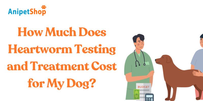 How Much Does Heartworm Testing and Treatment Cost for My Dog?