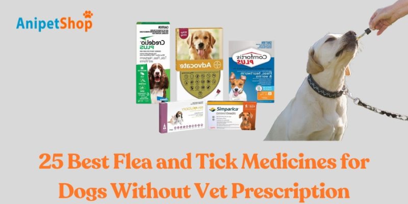 Flea and Tick Medicines for Dogs Without Vet Prescription