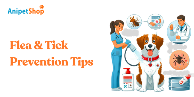 Flea & Tick Prevention Tips