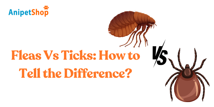 Differences between ticks and fleas?