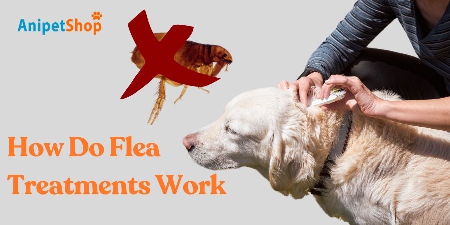 How Do Flea Treatments Work