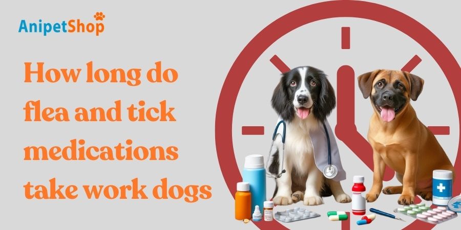 How long do flea and tick medications take work dogs