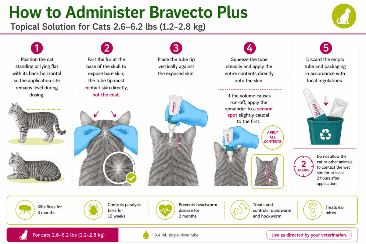 applying bravecto plus to a cat at the skull base