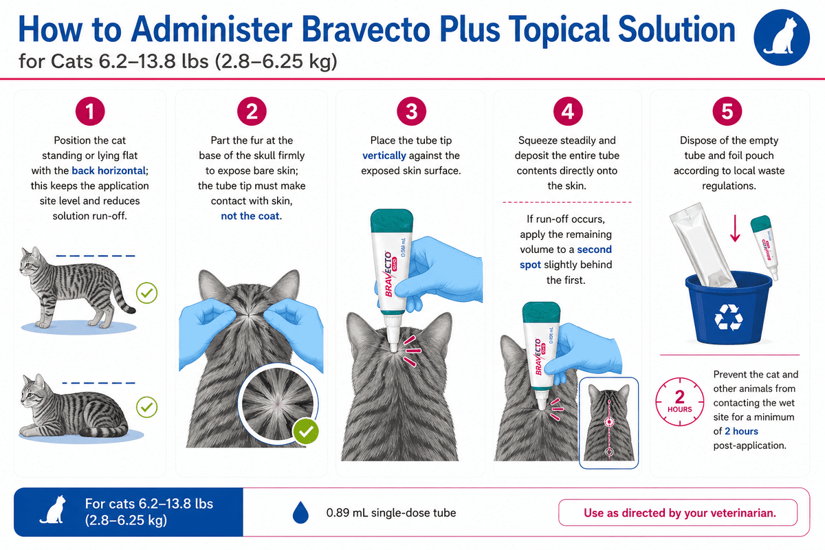 bravecto plus topical solution for cats 6.2-13.8 lbs application steps