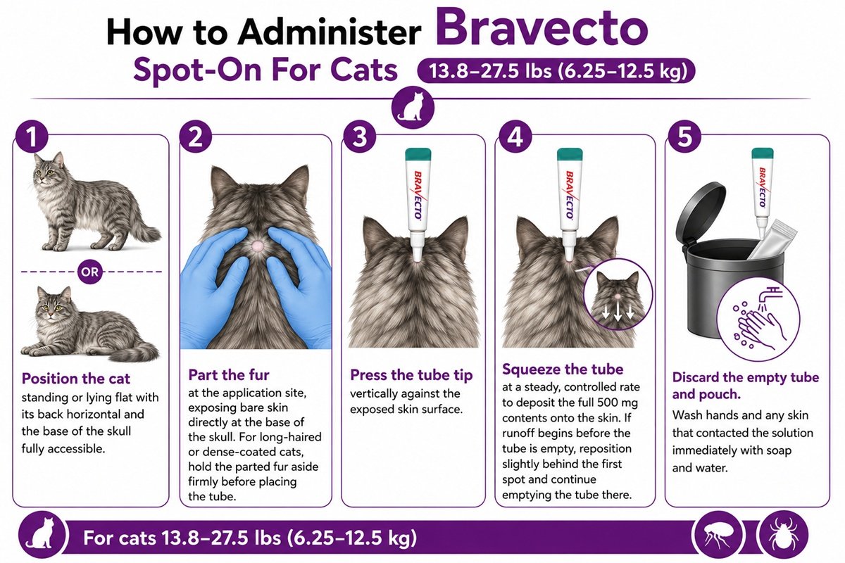 Application instructions for Bravecto Spot-On For Cats 13.8-27.5 lbs