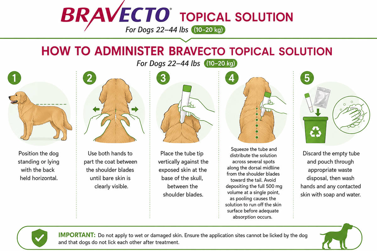 how to administer bravecto topical solution for dogs 22 - 44 lbs