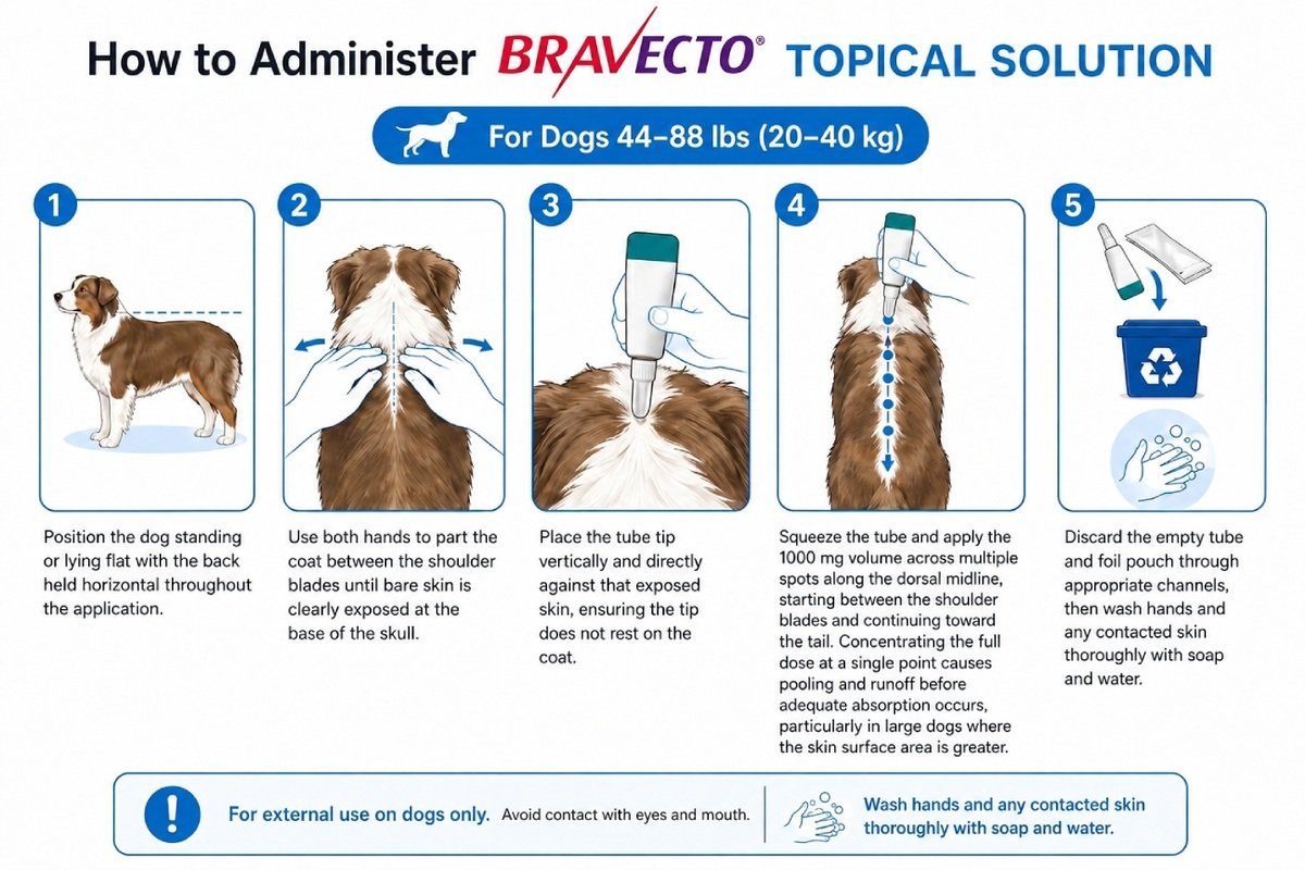 how to administer bravecto topical solution for dogs 44 - 88 lbs