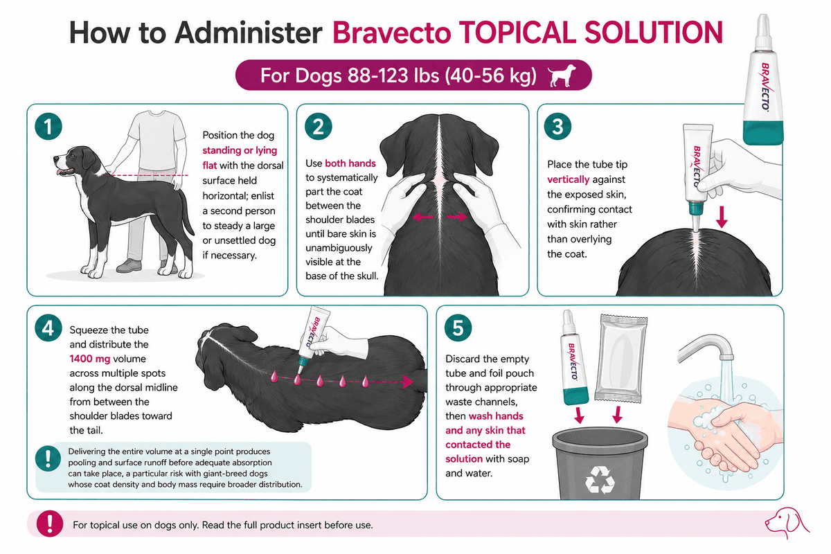 how to administer bravecto topical solution for dogs 88-123 lbs